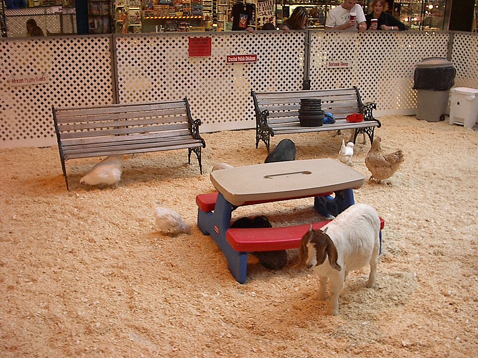 Kinderboerderij Voorschoten